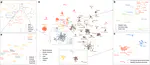Unsupervised embedding of trajectories captures the latent structure of mobility
