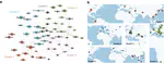 Quantifying knowledge synchronization with the network-driven approach